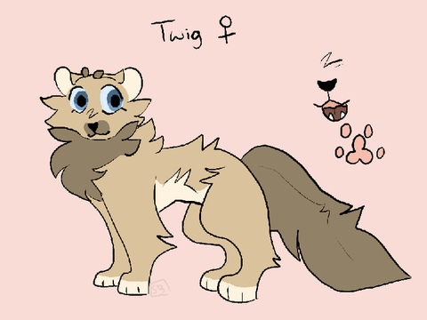Twig