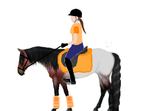 My new Horse! 