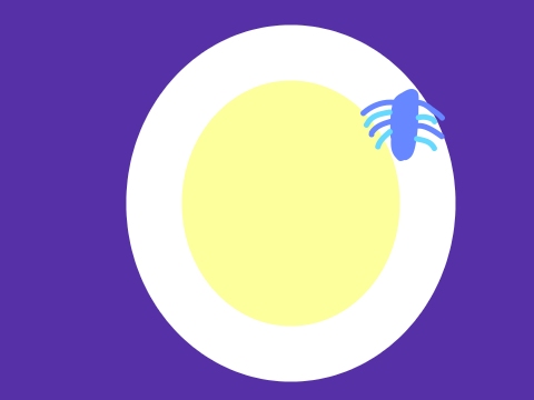 zE