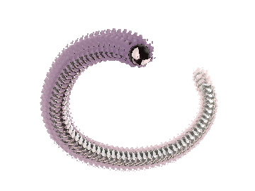POKEMON FADED 3D SNAKE
