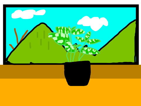 The Story Of Apricot