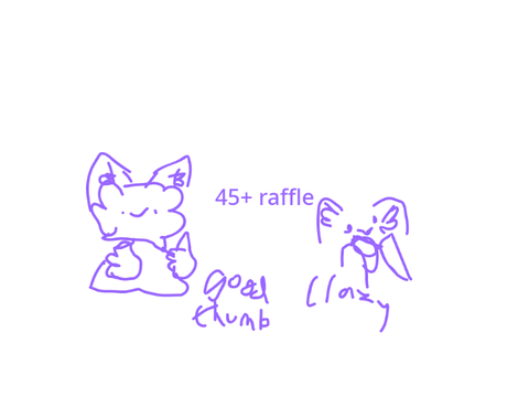 45+ raffle