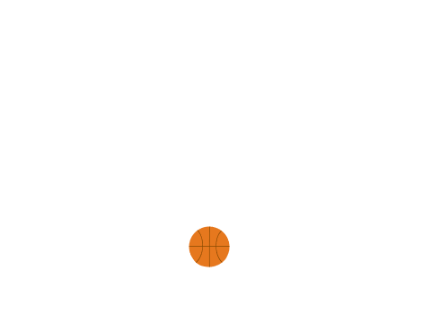 Ball Physics