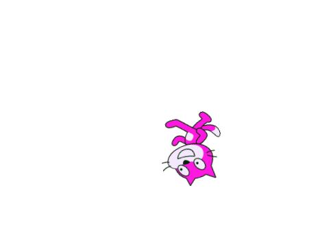 cat fly away