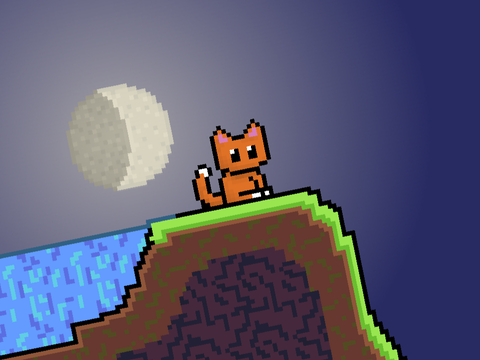 Cat Adventures