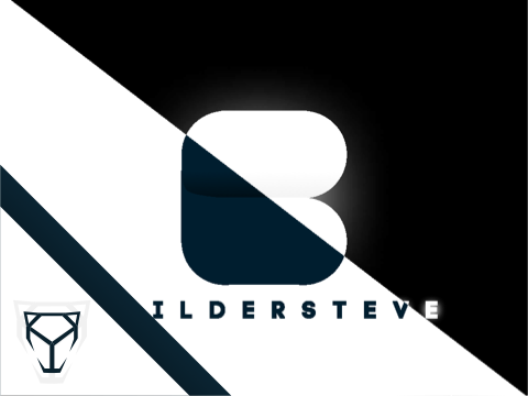 Branding for BuilderSteve (2)