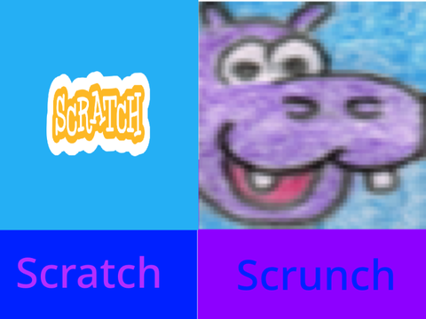 Scratch or Scrunch?