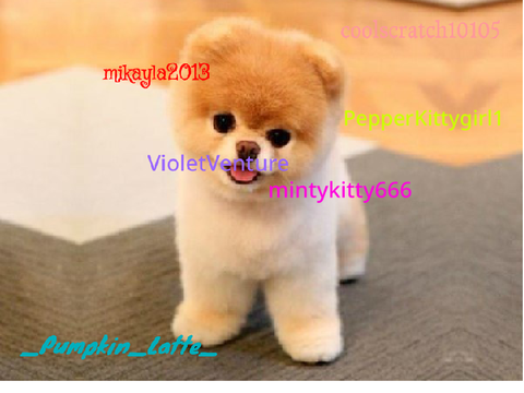 Sign this if you think boo is cutie lol! this is a remix remix