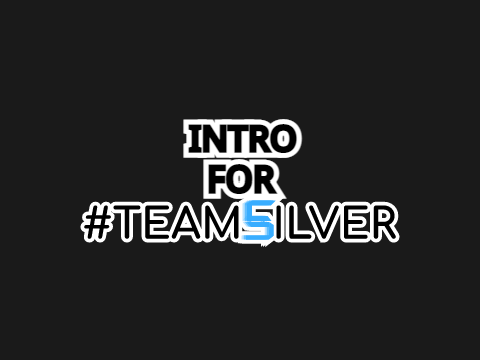 Intro For TeamSilver