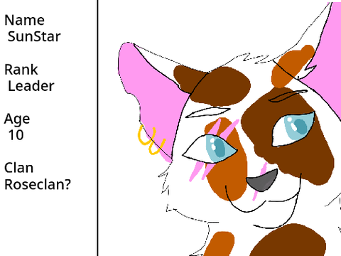 Warrior Cat fill-sheet }*|+SunStar+|*}