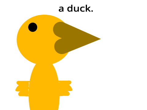a duck.