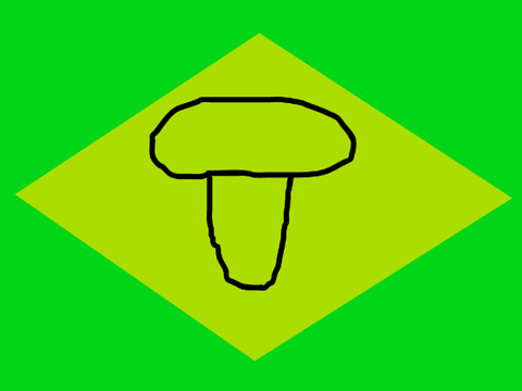国旗（1）