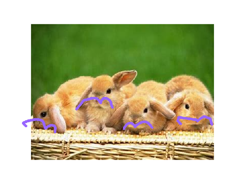 bunnies!!! remix