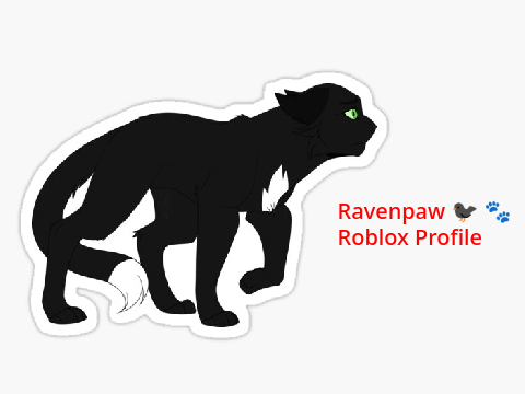 Ravenpaw Roblox Profile :)