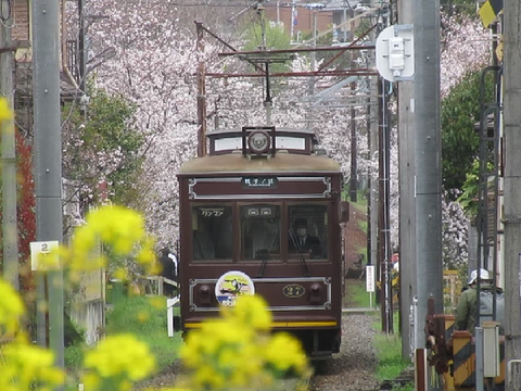 ＜PREMIUM-CAR様主催＞フォトコンテスト応募作品