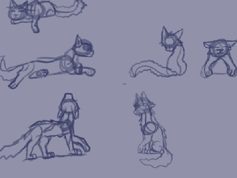 cat poses!