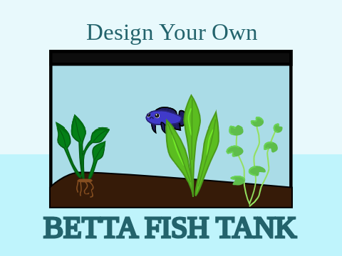 Design Your Own Betta Fish Tank!