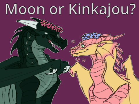 Moon or Kinkajou?