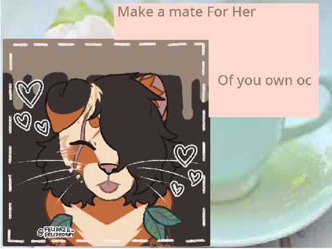 +--+Mate Your Oc With MINE!+--+ (closed)