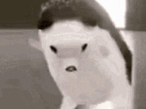 Jumpscare