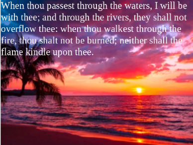verse of the week