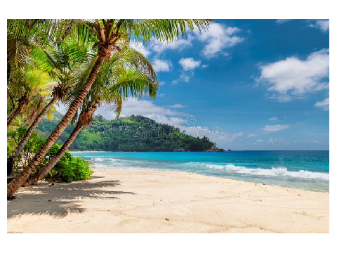 TS non-canon BEACH EVENT!