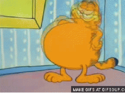 Garfield's stomach