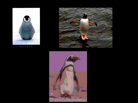 Press The Penguin