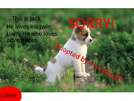 Adopt a dog - collab