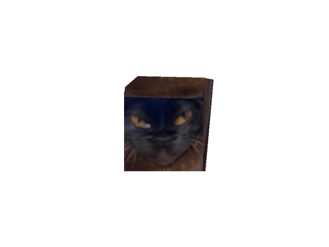 cube cat