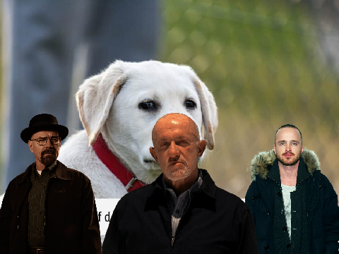 Walter