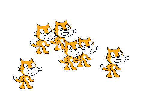 Cat Selecter