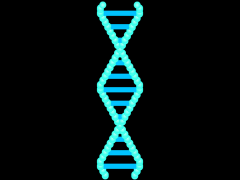 DNA simulator