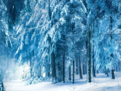 ❅