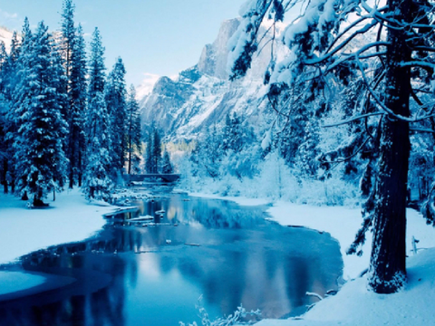 ❅