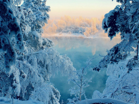 ❅ 