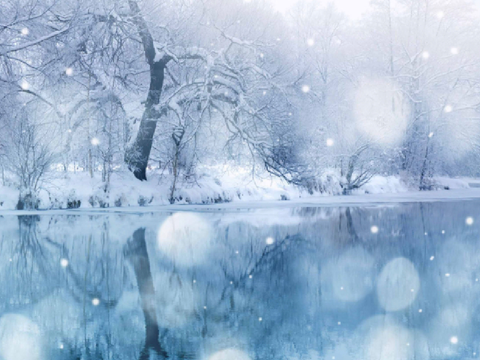 ❅