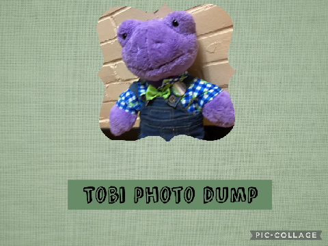Tobias photo dump