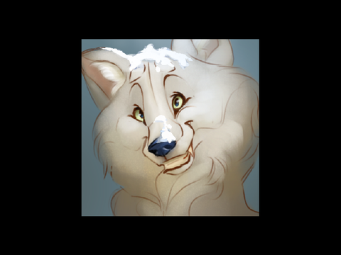 | Profile Commission |