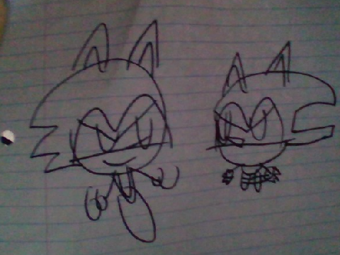 Sonic Vs Metal Sonic
