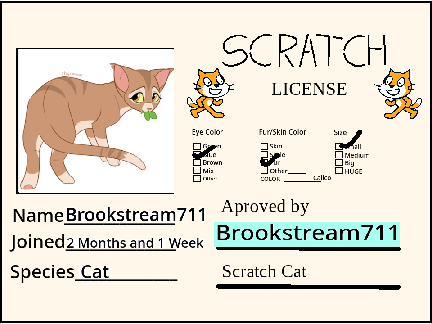 Make Your Own Scratch License 