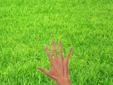 Touch Grass