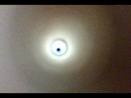 Can you guess what this is?