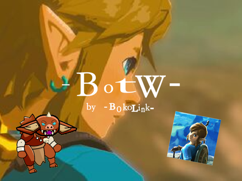 #BotW