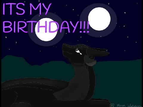 ITS MY BIRTHDAY!!!