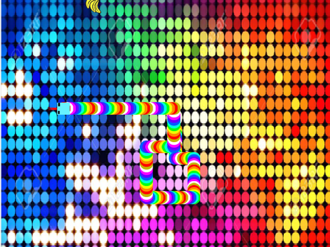  disco snake