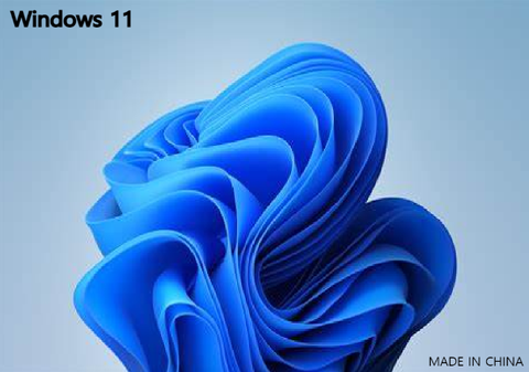 Windows 11