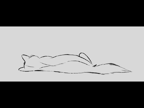 | Animations |