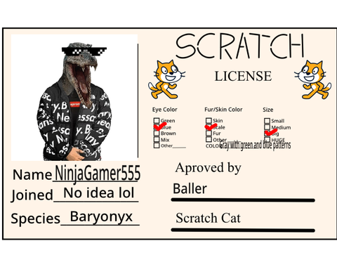 Scratch License