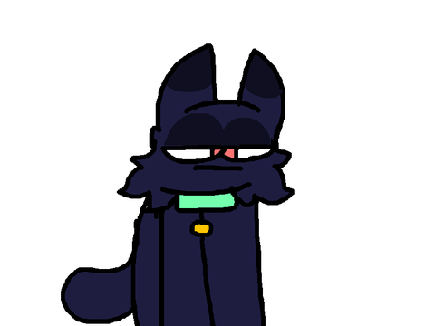 animation practise